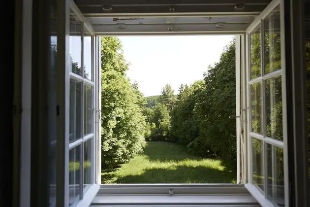 Standard Oda, Park Manzaralı