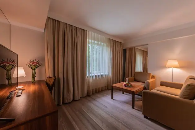 Junior Suit Standard