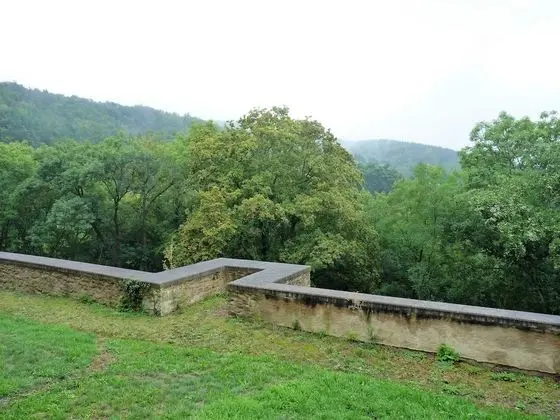 Basic Tek Büyük Yataklı Oda, Banyolu/Duşlu, Bahçe Manzaralı (Forsthaus 2)