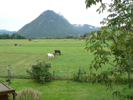 Standard Apart Daire, Engellilere Uygun, Özel Banyo (mit Balkon)