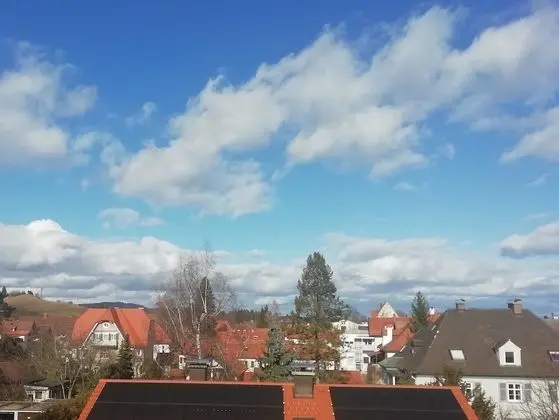 Comfort Tek Büyük Yataklı Oda, Balkon, Bahçe Manzaralı (Linderhof)