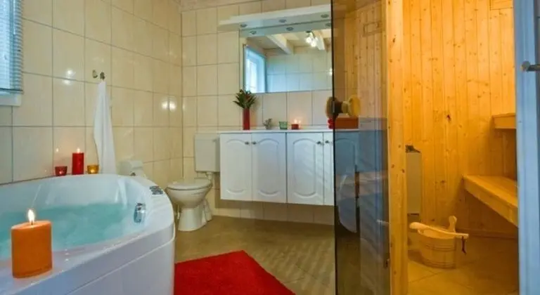Premium Ev, 2 Yatak Odası, Sauna