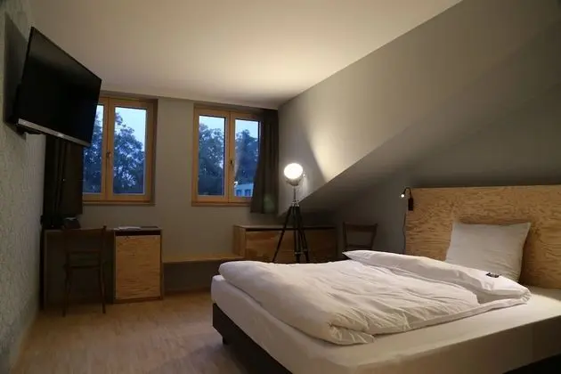 Standard Tek Kişilik Oda (in Hofwirt)