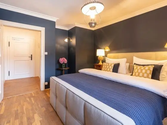 Comfort Tek Büyük Yataklı Oda, 1 En Büyük (King) Boy Yatak