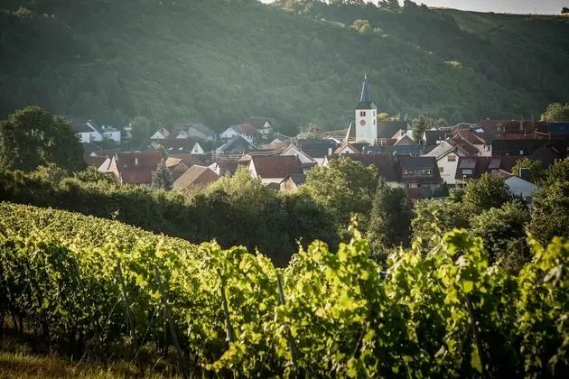 Basic Tek Büyük Yataklı Oda