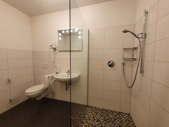 Tek Büyük Yataklı Oda, Banyolu/Duşlu (#1 Spatzennest im EG)