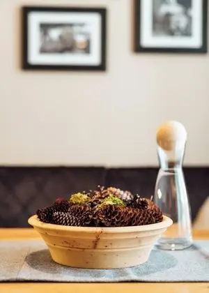 Exclusive Apart Daire (Schneerose)