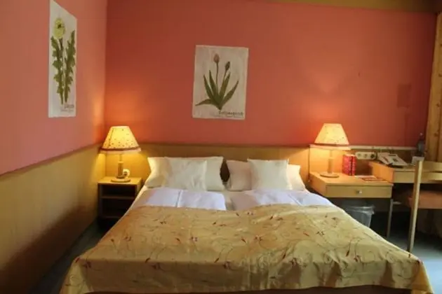 Comfort Tek Büyük Yataklı Oda, Balkon