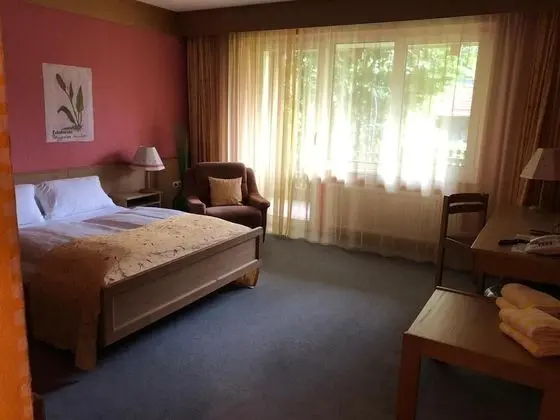Comfort Tek Büyük Yataklı Oda, Balkon