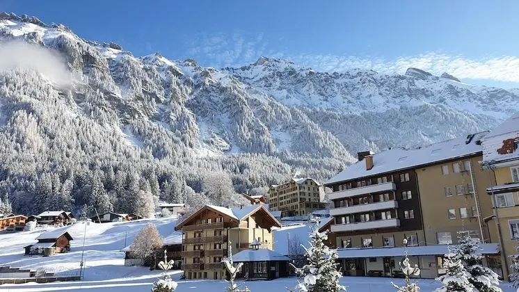 Tek Büyük Yataklı Oda, Balkon, Dağ Manzaralı (Small)