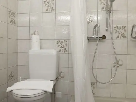 Ev