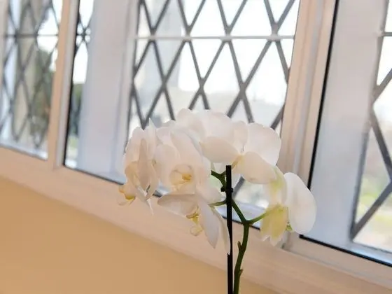 Tek Büyük Yataklı Oda, Banyolu/Duşlu