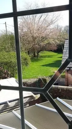 İki Ayrı Yataklı Oda (Science)