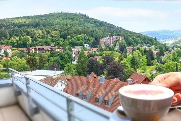 Superior Tek Büyük Yataklı Oda, Balkon