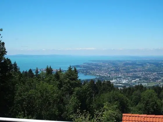 Business Çatı Katı Süiti (Penthouse), 1 Yatak Odası, Teras, Göl Kenarı