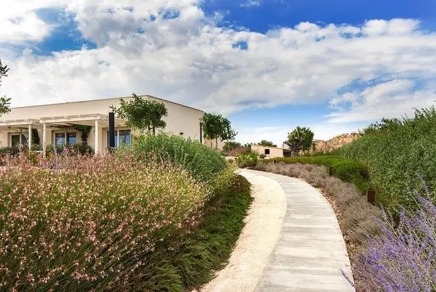 Deluxe Tek Büyük Yataklı Oda, 1 En Büyük (King) Boy Yatak