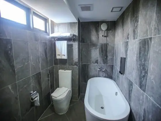 Deluxe Tek Büyük Yataklı Oda