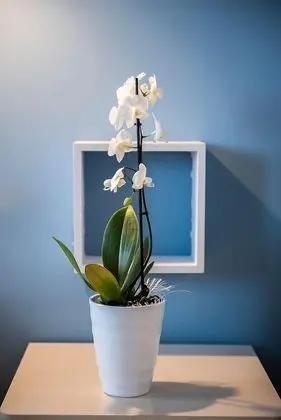 Panoramic Tek Büyük Yataklı Oda, Balkon, Deniz Manzaralı