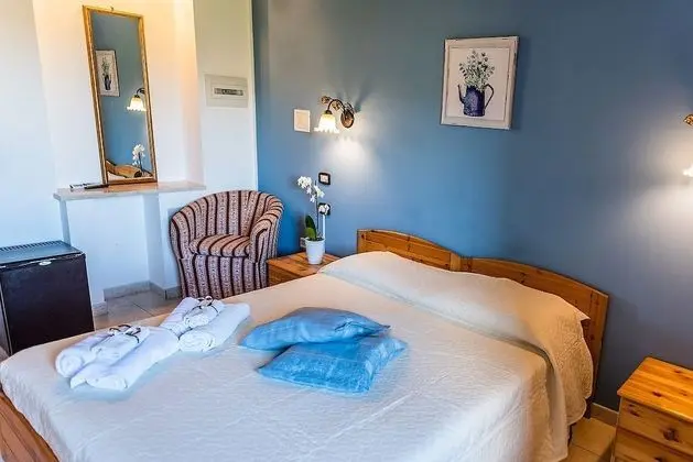 Standard Tek Büyük Yataklı Oda, Bahçe Manzaralı