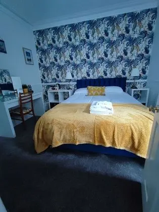Standard Tek Büyük Yataklı Oda, 1 Yatak Odası, Banyolu/Duşlu