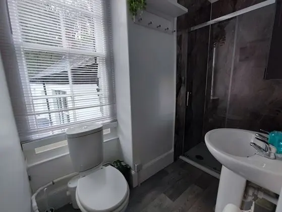 Standard Tek Büyük Yataklı Oda, 1 Yatak Odası, Banyolu/Duşlu