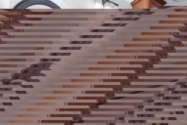 Ev