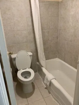 Standard Oda, Birden Çok Yatak, Sigara İçilmez (Family Room)