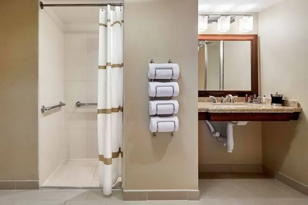 Süit, 1 Yatak Odası (Mobility Accessible, Roll-In Shower)