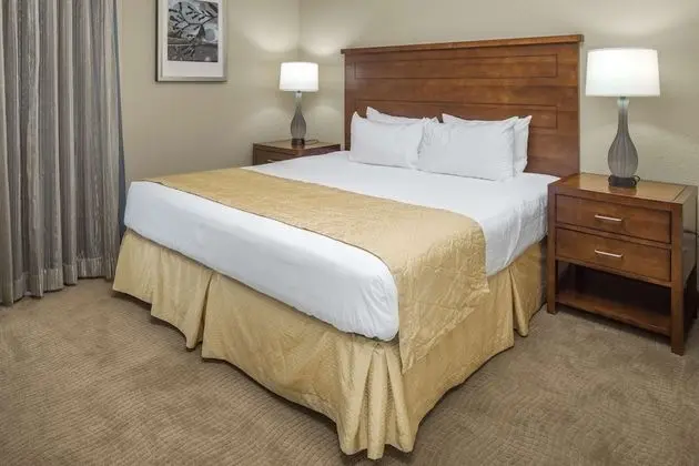 1 BEDROOM 1 KING SUITE WITH SOFABED
