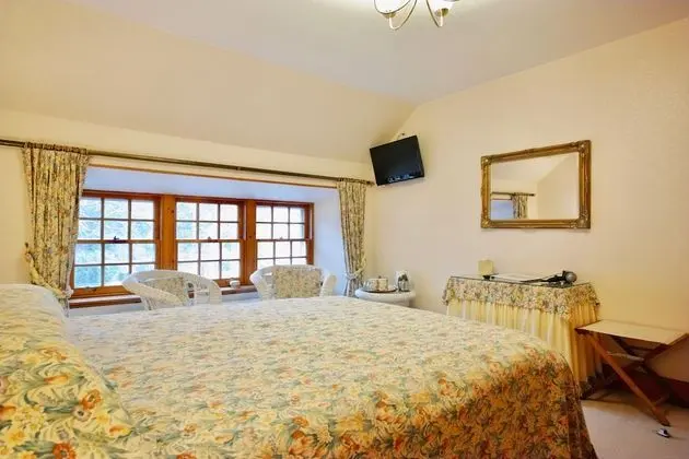 Traditional Tek Büyük Yataklı Oda, Sigara İçilmez