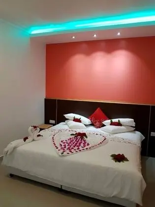 Deluxe Tek Büyük Yataklı Oda, 1 Yatak Odası, Bahçe Manzaralı, Zemin Kat