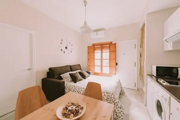 Apart Daire, 1 Yatak Odası