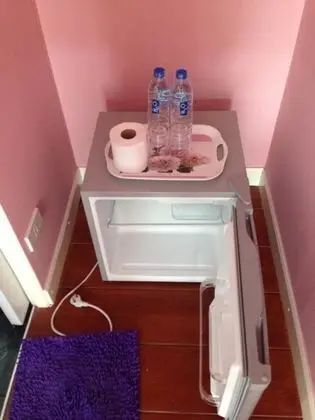 Mini Buzdolabı