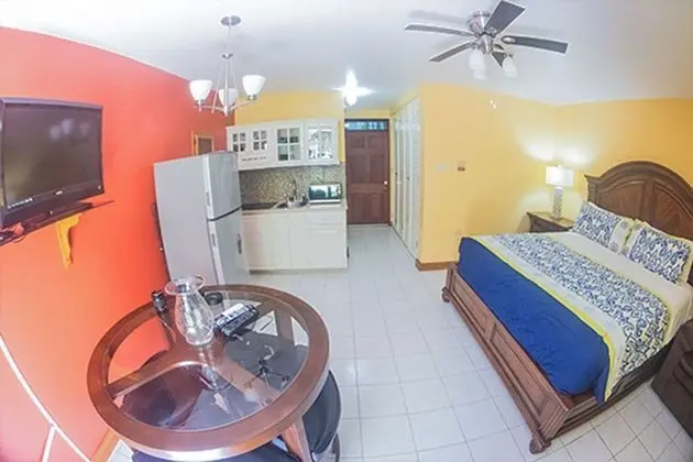 Comfort Stüdyo, 1 En Büyük (King) Boy Yatak, Kısmi Deniz Manzarası, Denize Sıfır