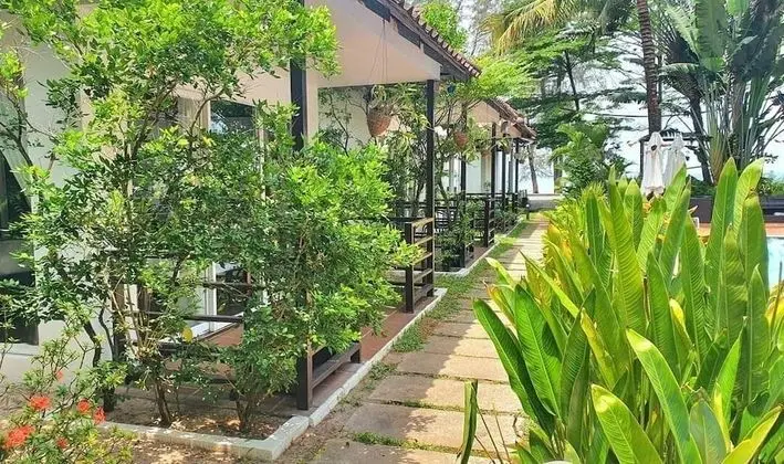Deluxe İki Ayrı Yataklı Oda, Havuz Kullanımı, Havuz Kenarı