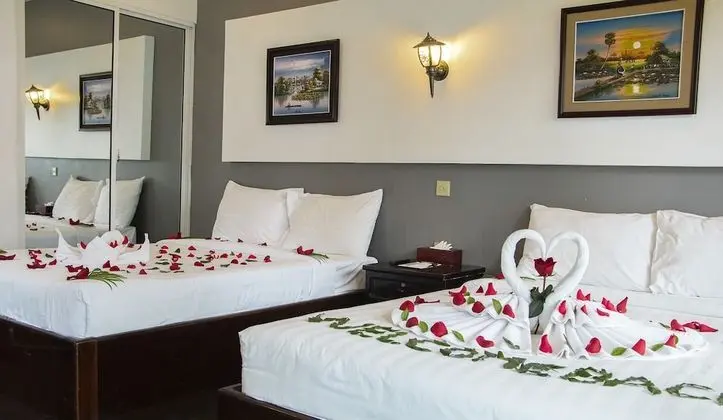 Deluxe İki Ayrı Yataklı Oda, Havuz Kullanımı, Havuz Kenarı