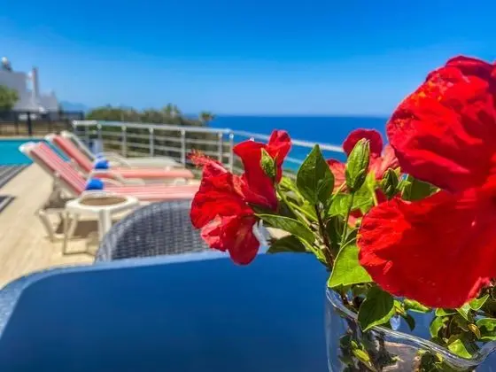 Villa, 4 Yatak Odası, Veranda