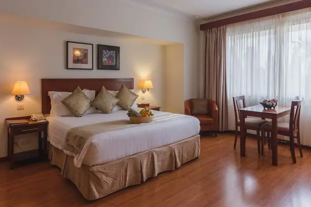 Comfort Stüdyo, 1 En Büyük (King) Boy Yatak, Küçük Mutfak
