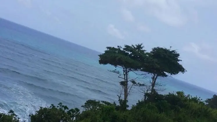 Panoramic Queen Room, Private Bathroom, Ocean View (201660295)