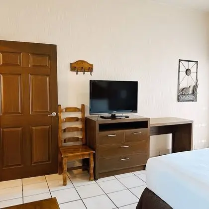 Standard Daire, 1 Yatak Odası, Sigara İçilmez, Mutfak