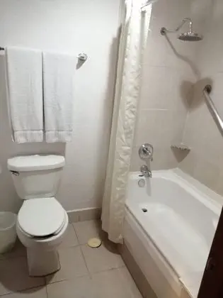 Standard Daire, 1 Yatak Odası, Sigara İçilmez, Mutfak