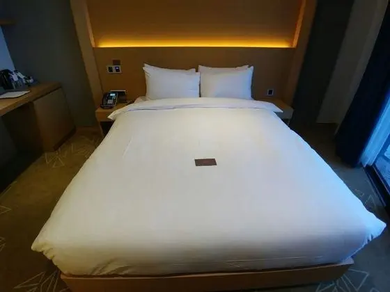 Standard Tek Büyük Yataklı Oda (Half Ocean View)