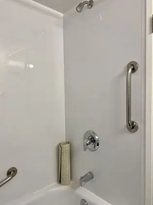 Süit