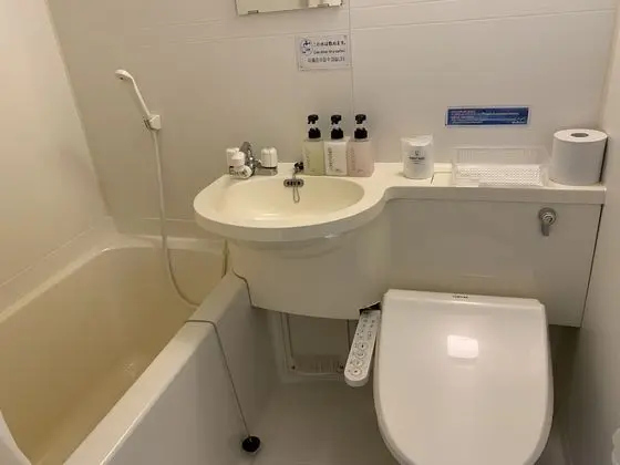 Ev, Sigara İçilmez, Özel Banyo (Twin Room)