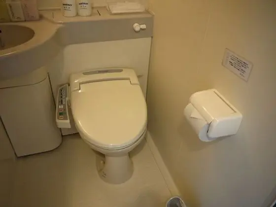 Ev, Sigara İçilmez, Özel Banyo (Twin Room)