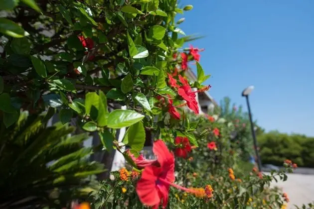 Apart Daire, 1 Yatak Odası, Sigara İçilebilir, Balkon