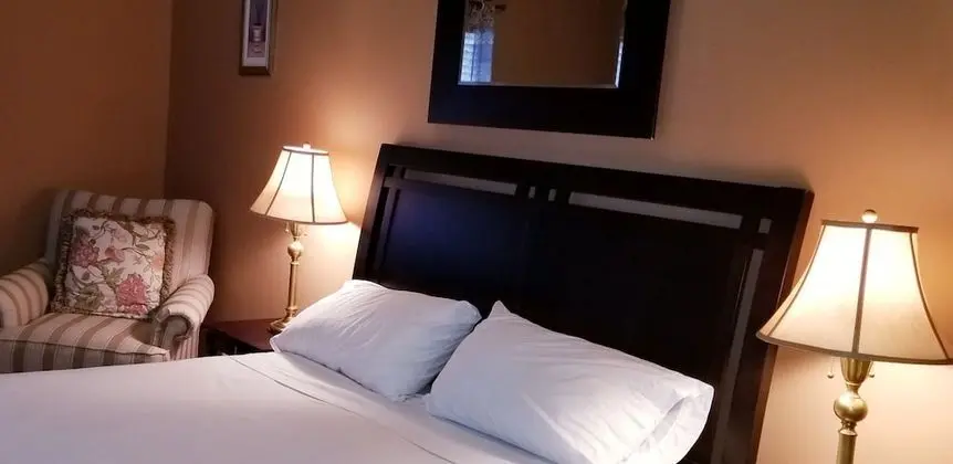 Deluxe Tek Kişilik Oda, 1 Büyük (Queen) Boy Yatak