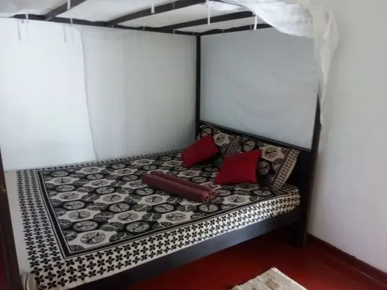 Deluxe Tek Büyük Yataklı Oda (With Fan)