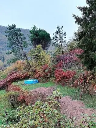 Ev, 2 Yatak Odası, Şömine