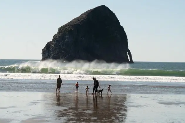 Ev, 2 Büyük (Queen) Boy Yatak (Sea Lion Crossing)